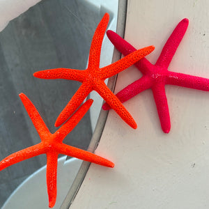 Pink and orange starfish